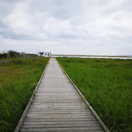 14 Person In Hadsund